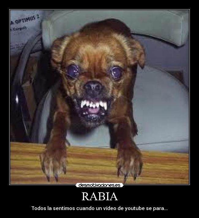 RABIA - Todos la sentimos cuando un vídeo de youtube se para...