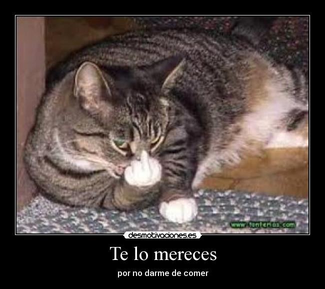 Te lo mereces - 