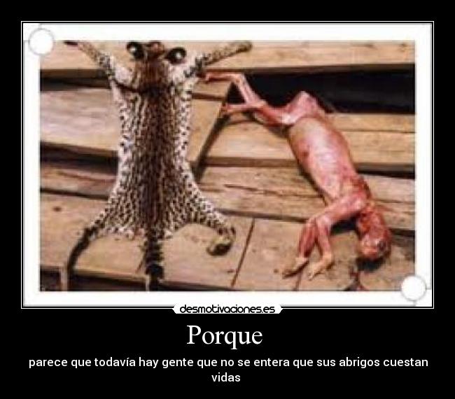 Porque  - parece que todavía hay gente que no se entera que sus abrigos cuestan vidas 