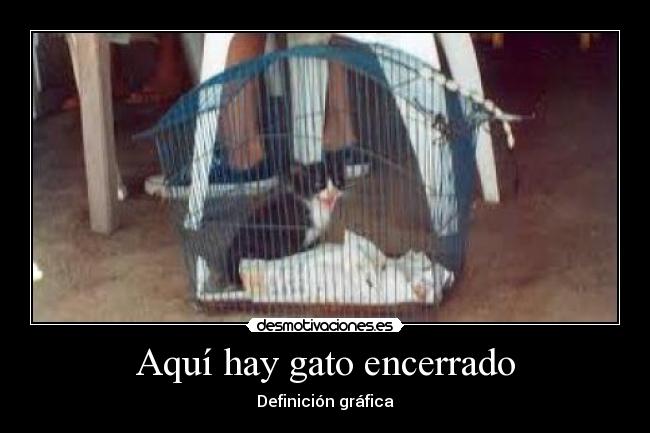 Aquí hay gato encerrado - 