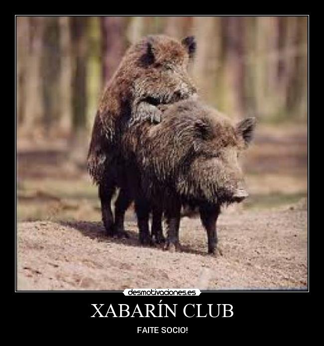 XABARÍN CLUB - FAITE SOCIO!