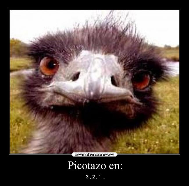 Picotazo en: - 3 , 2 , 1...