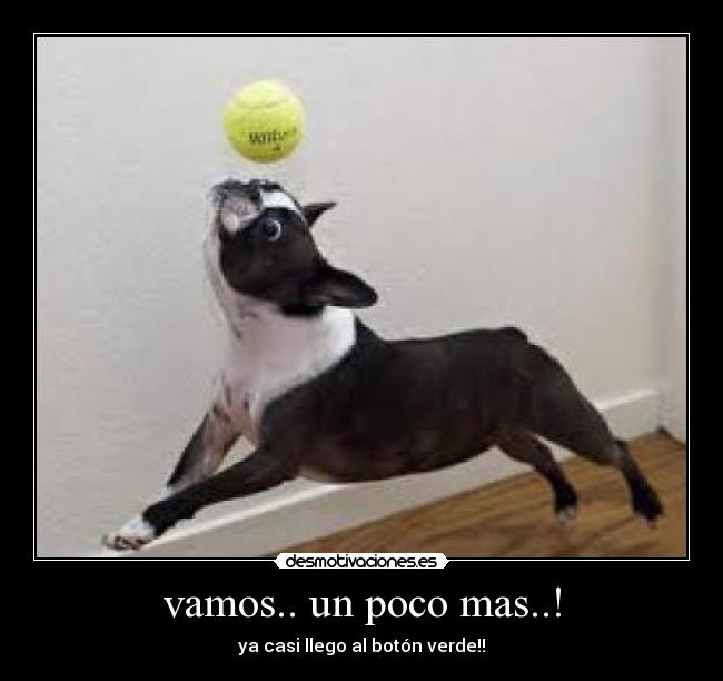 vamos.. un poco mas..! -