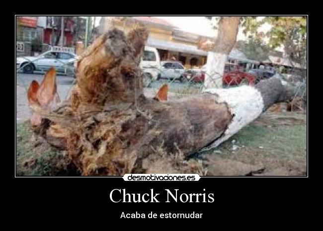 Chuck Norris -