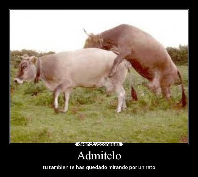 Admitelo - 
