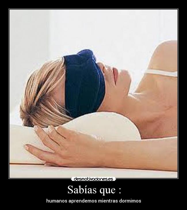Sabías que : - humanos aprendemos mientras dormimos