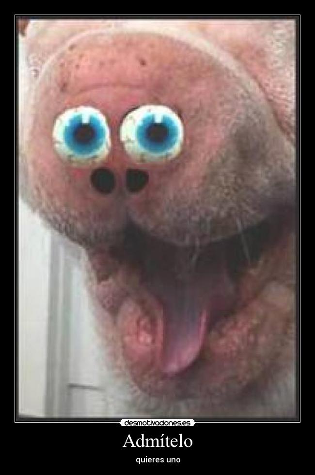 Admítelo - quieres uno