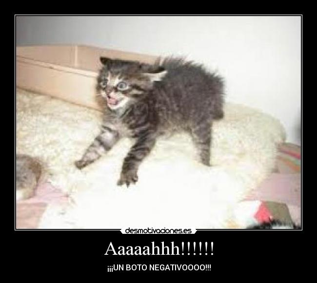 Aaaaahhh!!!!!! - 