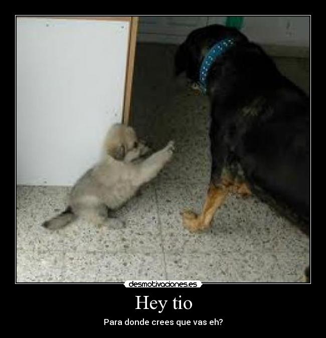 Hey tio - Para donde crees que vas eh?