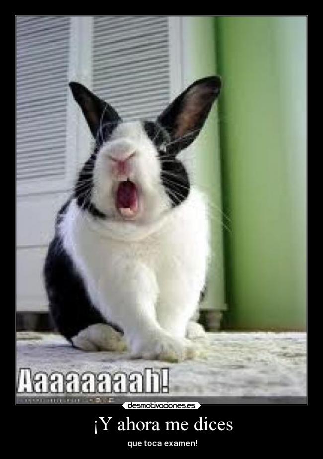 ¡Y ahora me dices - 