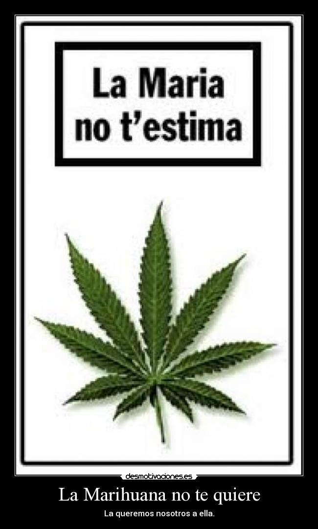 La Marihuana no te quiere - La queremos nosotros a ella.