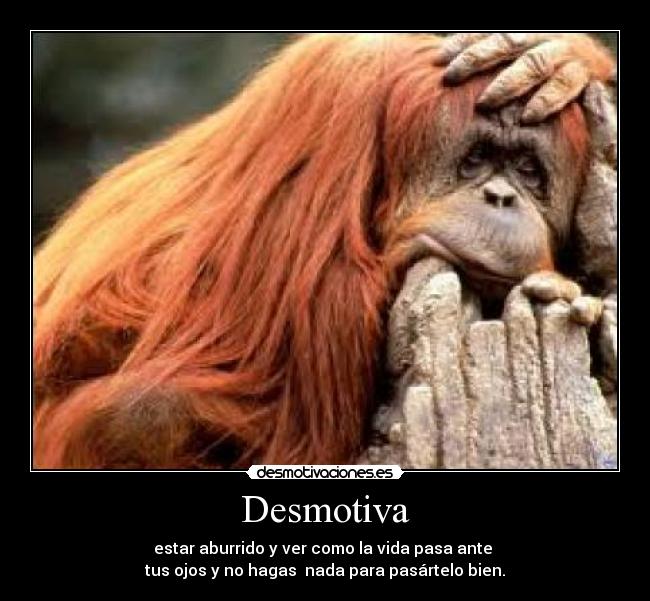 Desmotiva - 
