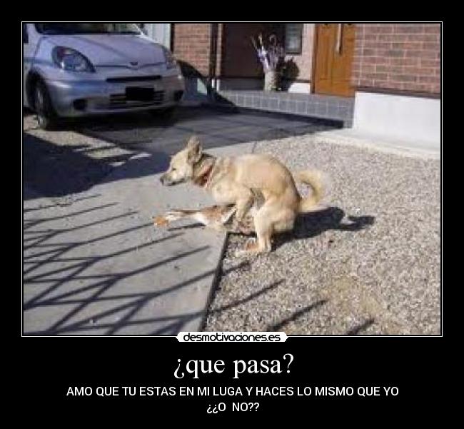 ¿que pasa? -