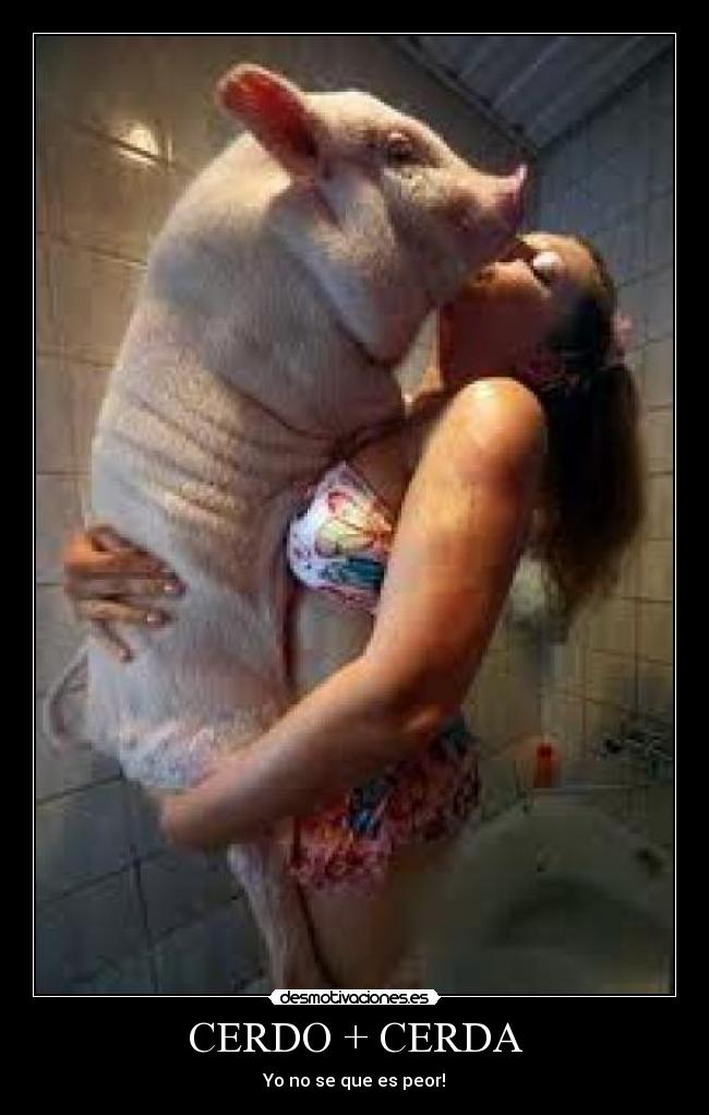 CERDO + CERDA -