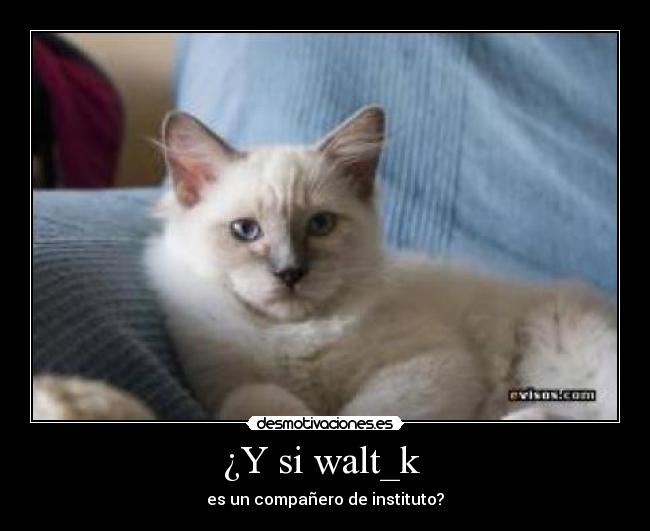 ¿Y si walt_k -