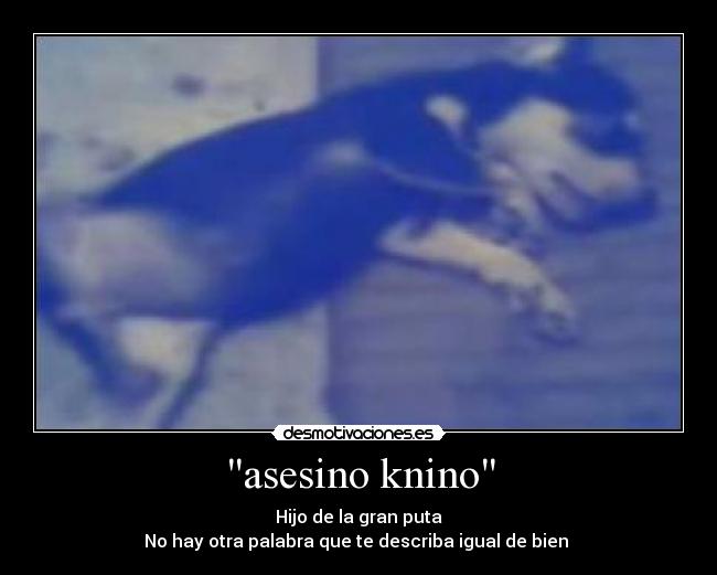 asesino knino -