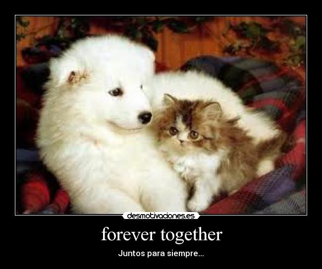 forever together - Juntos para siempre...