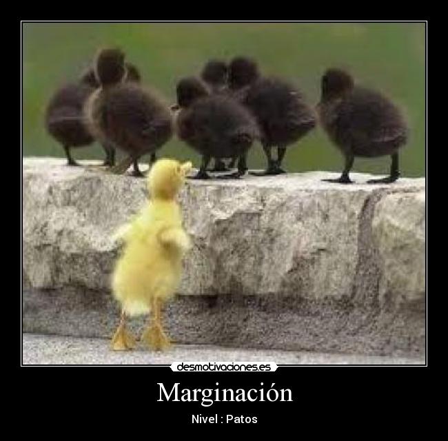 Marginación -