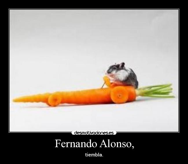 Fernando Alonso, - tiembla.
