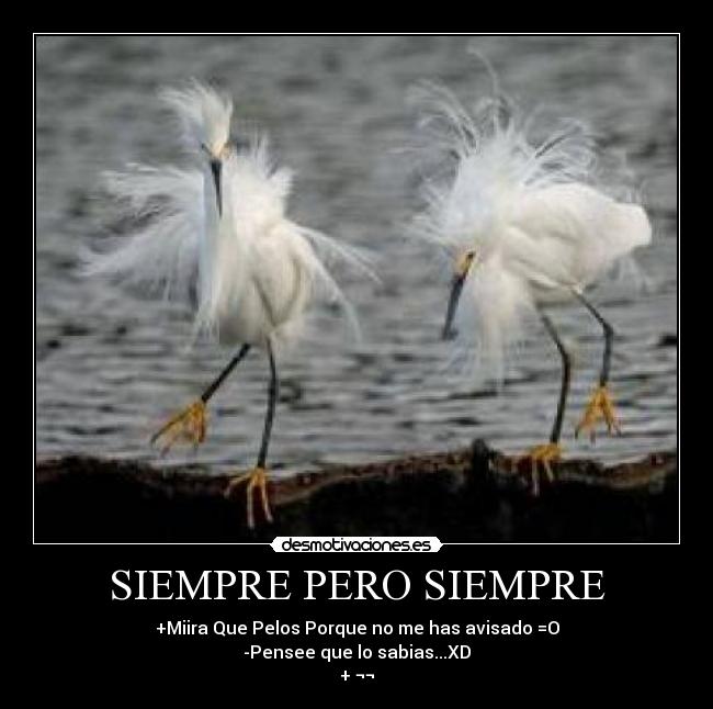 SIEMPRE PERO SIEMPRE - +Miira Que Pelos Porque no me has avisado =O
-Pensee que lo sabias...XD
+ ¬¬