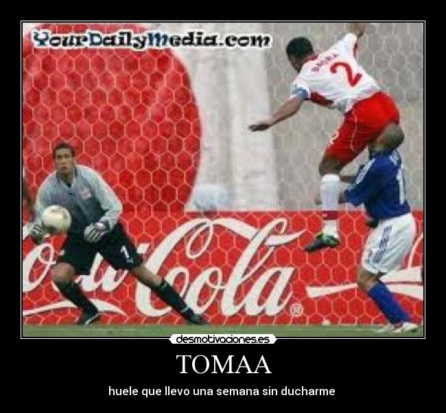 TOMAA -