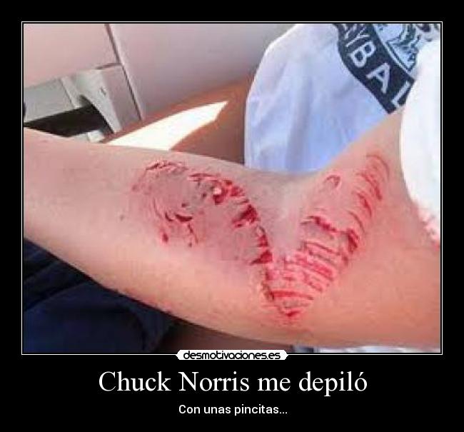 carteles chuck norris depilo desmotivaciones