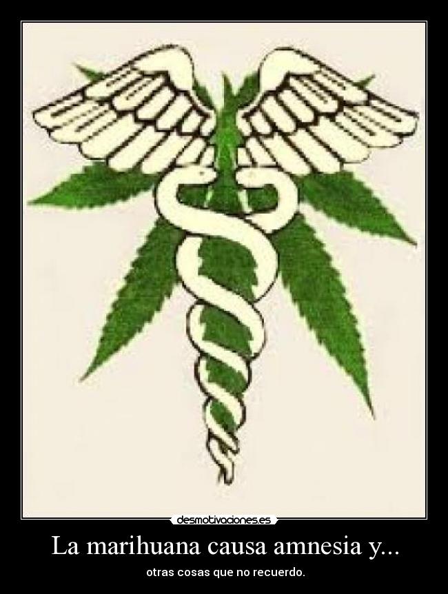 La marihuana causa amnesia y... - otras cosas que no recuerdo.