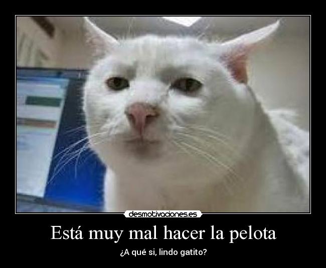 Está muy mal hacer la pelota -