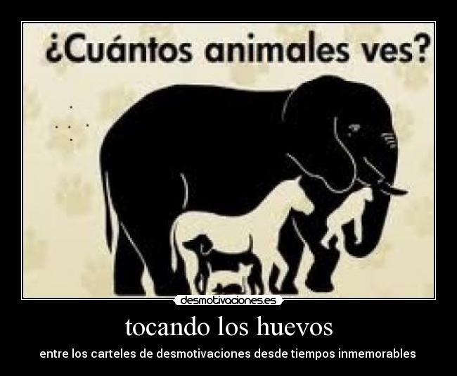 tocando los huevos - 