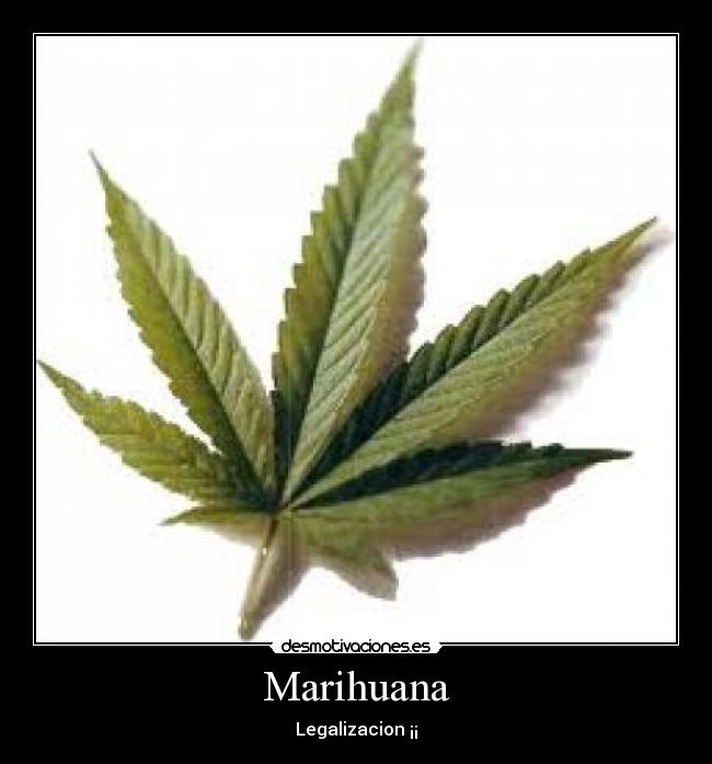 Marihuana - 