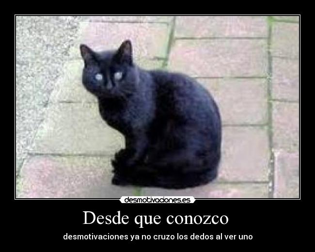 Desde que conozco - desmotivaciones ya no cruzo los dedos al ver uno