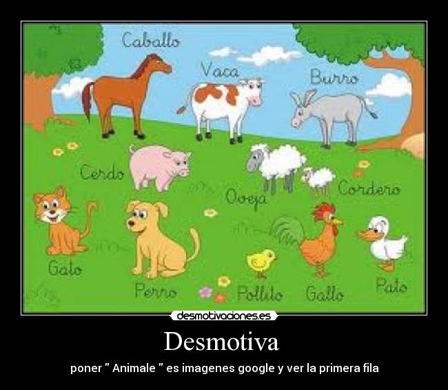 Desmotiva - poner Animale es imagenes google y ver la primera fila