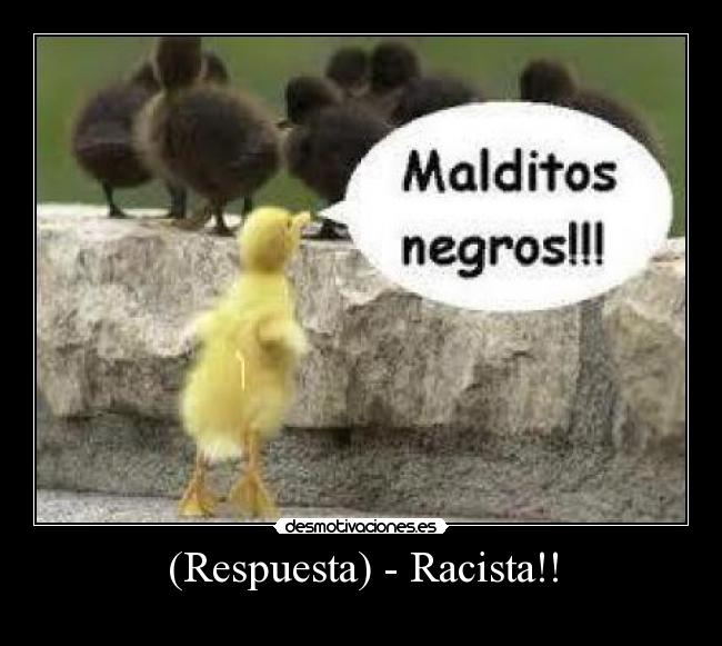 (Respuesta) - Racista!! -