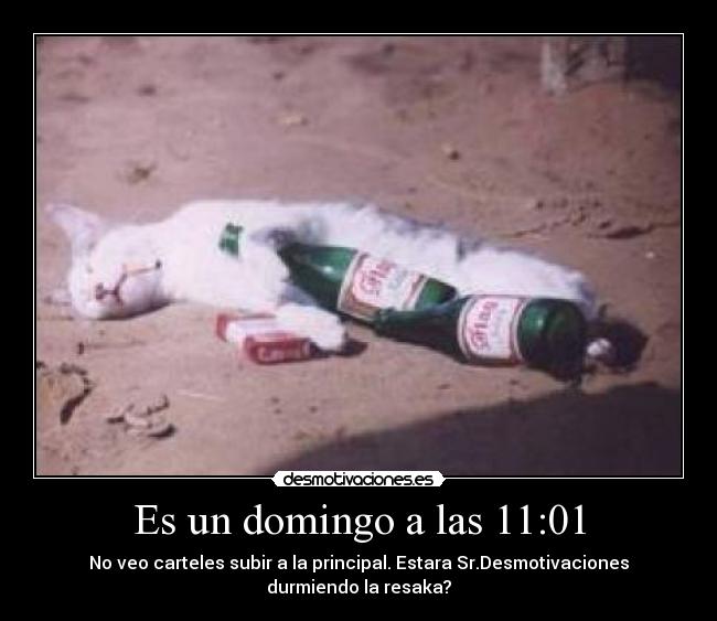 Es un domingo a las 11:01 - No veo carteles subir a la principal. Estara Sr.Desmotivaciones
durmiendo la resaka?