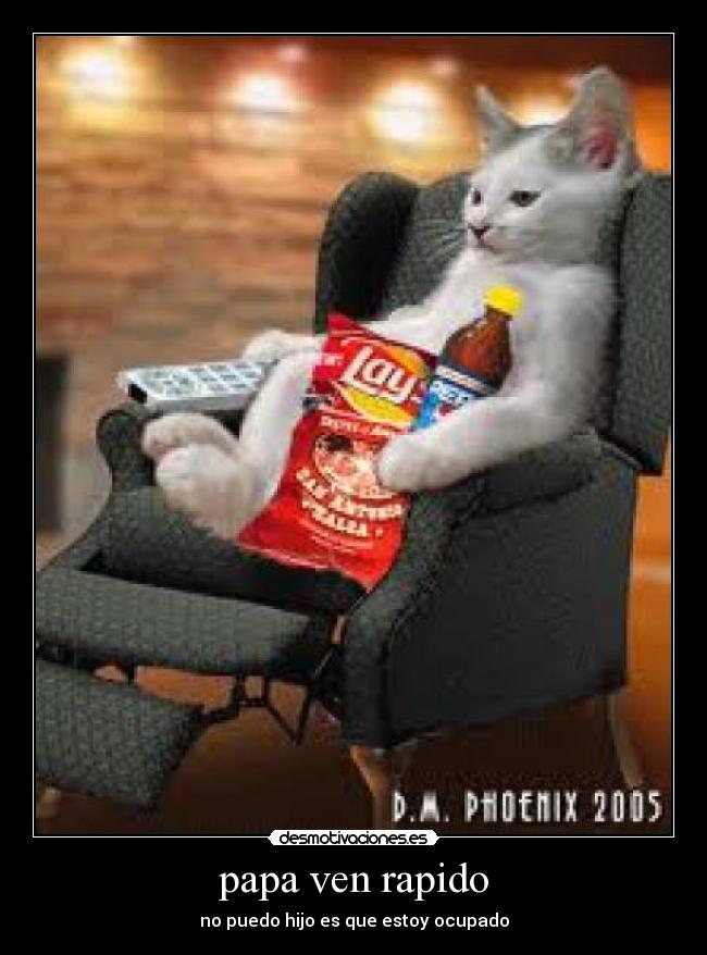 papa ven rapido - 