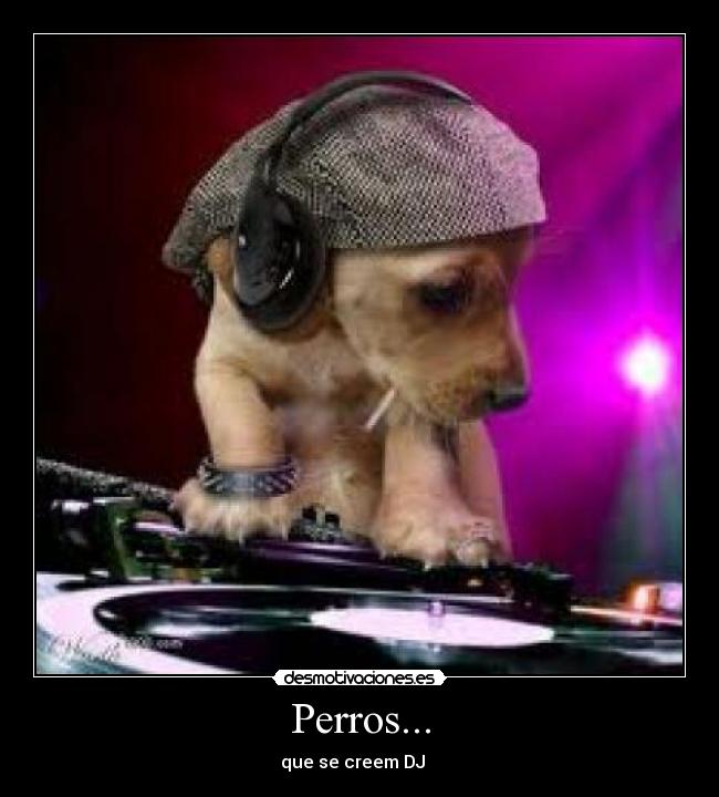 Perros... -