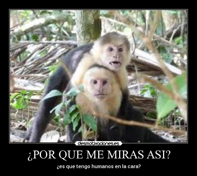 ¿POR QUE ME MIRAS ASI? - 