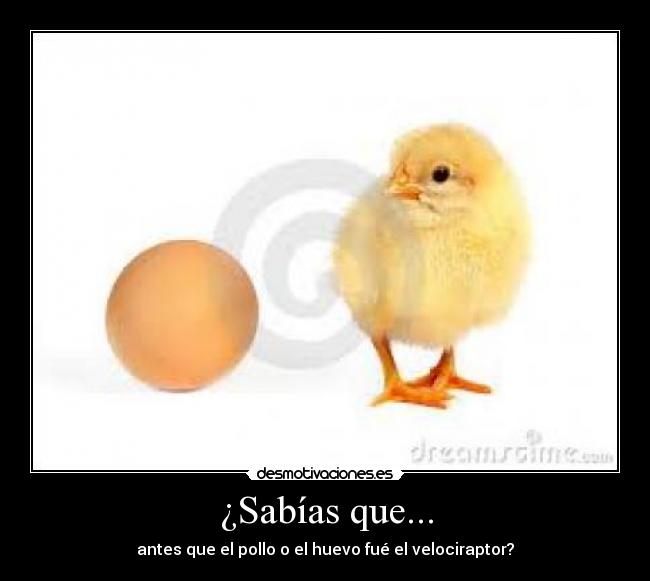 carteles velociraptor pollo huevo sabias que fumaporros desmotivaciones