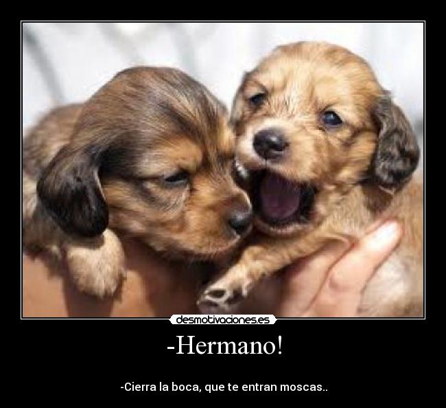 -Hermano! - 