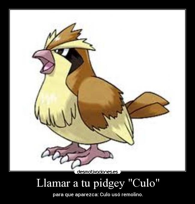 Llamar a tu pidgey Culo - para que aparezca: Culo usó remolino.