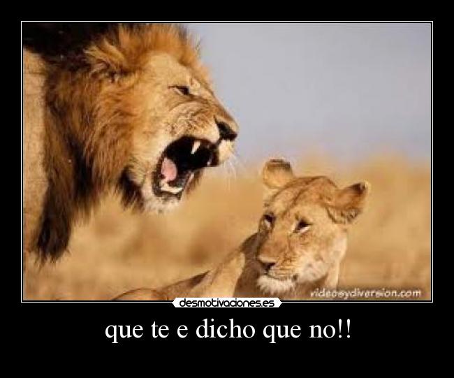 que te e dicho que no!! - 