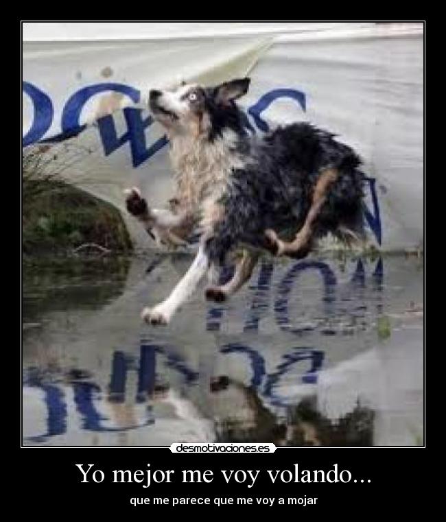 Yo mejor me voy volando... -