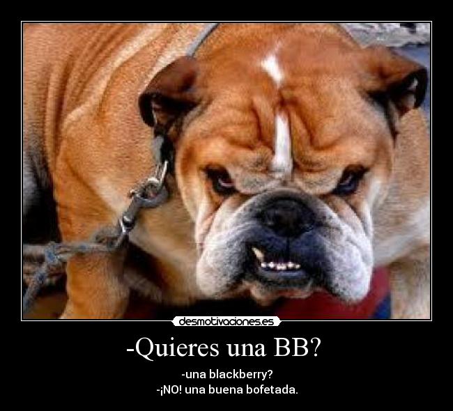 -Quieres una BB? - -una blackberry?
-¡NO! una buena bofetada.