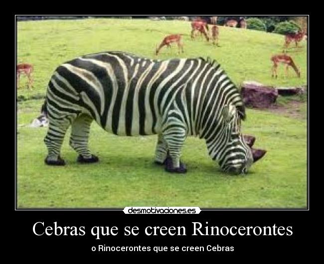 Cebras que se creen Rinocerontes - o Rinocerontes que se creen Cebras