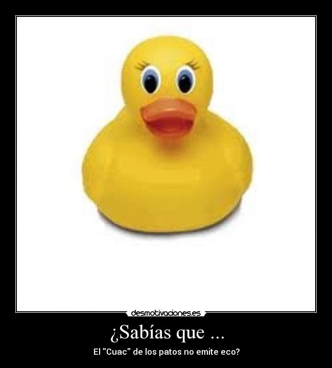¿Sabías que ... - El Cuac de los patos no emite eco?