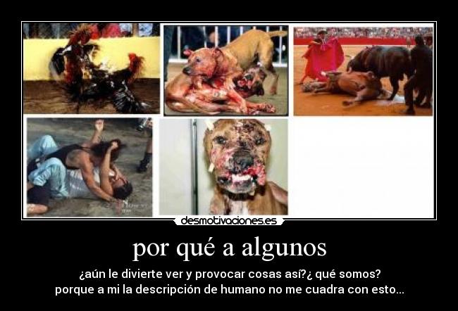 por qué a algunos -