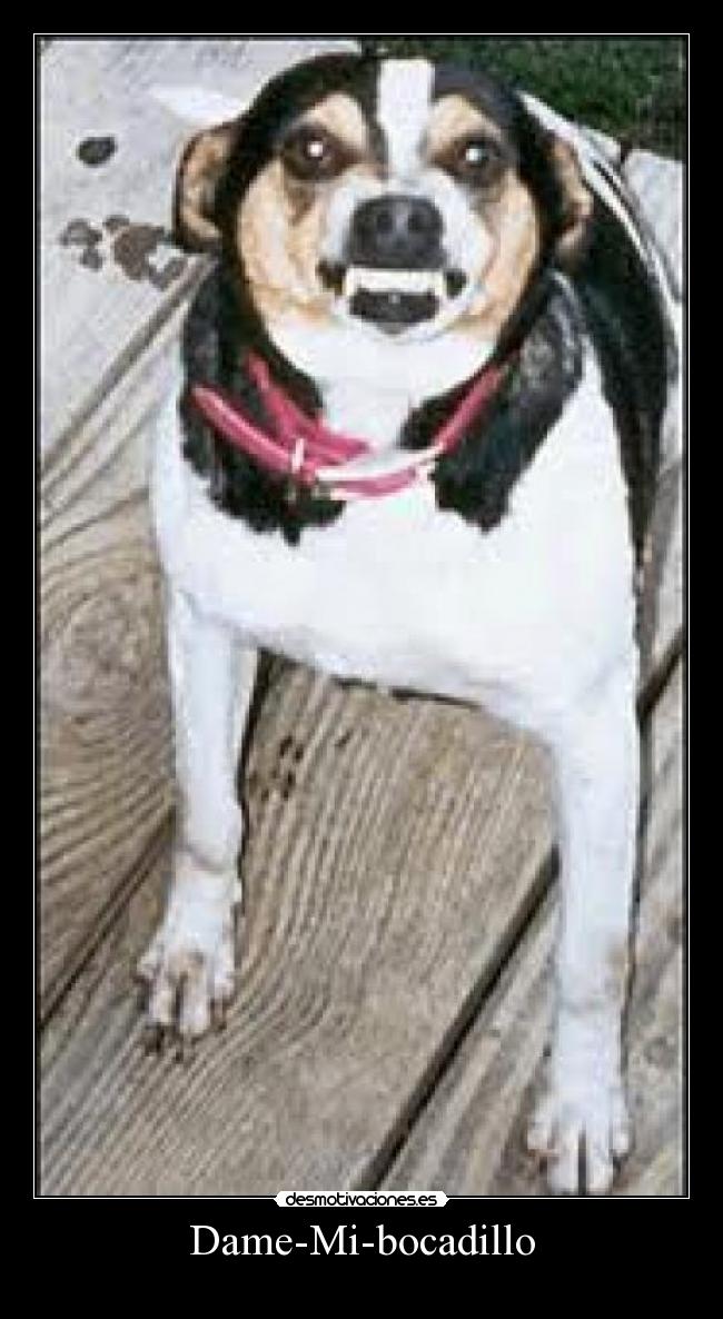 Dame-Mi-bocadillo -