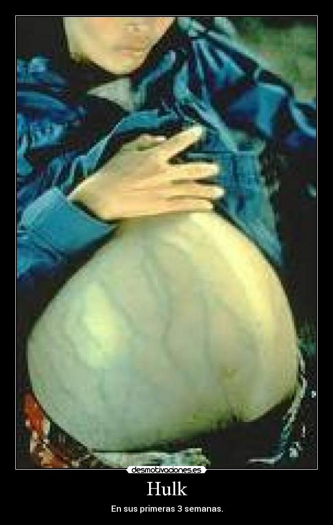 Hulk - En sus primeras 3 semanas.