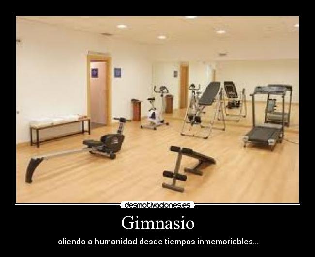 Gimnasio - oliendo a humanidad desde tiempos inmemoriables...
