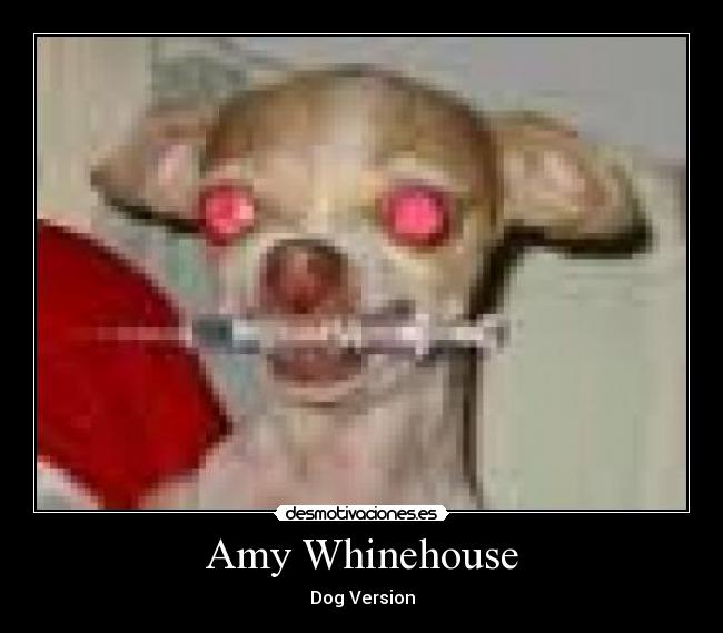 Amy Whinehouse - Dog Version